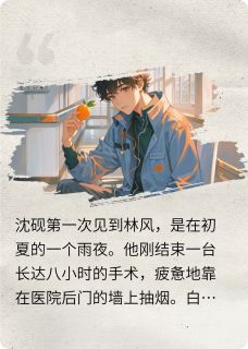 晚风于霓虹by沈砚林风在线阅读