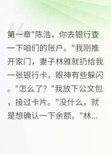 抖音完结发现老婆给初恋转账后，我移民林雅苏晴陈浩(全文在线阅读)-二筒文学网