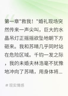 独家未婚夫为救白月光推开我后悔已晚全本大结局小说阅读-二筒文学网