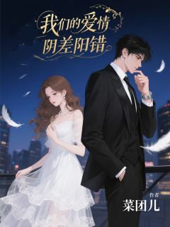 我们的爱情阴差阳错在线全文阅读-主人公孟晏尘林珊小说