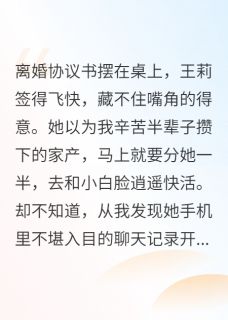 离婚前夜，我掏空了所有家产王莉张浩小说全文-离婚前夜，我掏空了所有家产小说-二筒文学网