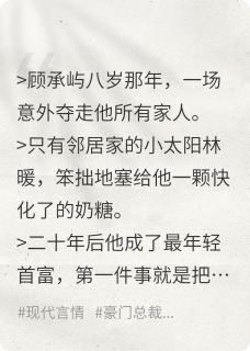孕期驯服偏执霸总指南（林暖顾承屿苏晓悠）精彩小说目录阅读
