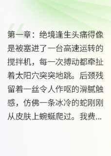 我靠碰瓷小叔苟命小说在线阅读，主角厉沉舟厉明轩精彩段落最新篇-二筒文学网