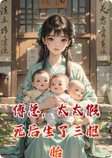 抖音林念傅司寒傅言小说叫什么名字