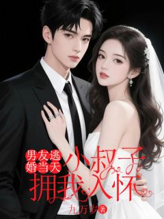 独家男友逃婚当天，小叔子拥我入怀全本大结局小说阅读-二筒文学网