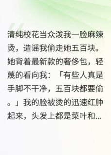 受我家资助的贫困生，造谣我小偷小说-江洛林雅琪全篇阅读