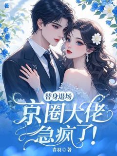 替身退场，京圈大佬急疯了！(墨文婷展宁)全文章节在线阅读