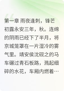 金阶玉碎：权臣与女谍的生死棋局小说的书名是什么