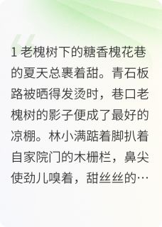 槐花巷的甜小满王桂英周秀兰-小说未删减阅读-二筒文学网
