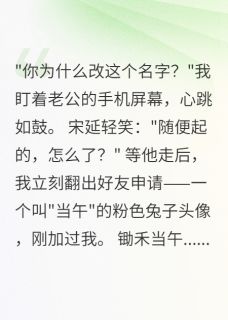 老公改名锄禾，我查出天价贪污案苏念宋延张雅婷小说全章节最新阅读-二筒文学网