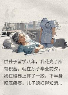 儿旅欧媳晒游，我把家产全捐了李娟陈斌全章节在线阅读-二筒文学网