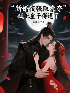 新婚夜强取豪夺，疯批皇子得逞了快手热推沈渊沈瑜免费阅读-二筒文学网