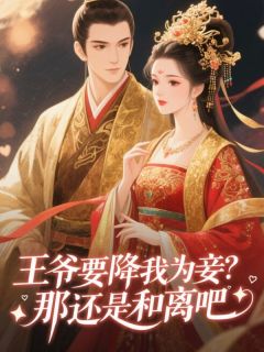 快手王爷要降我为妾？那还是和离吧小说全本章节大结局-二筒文学网