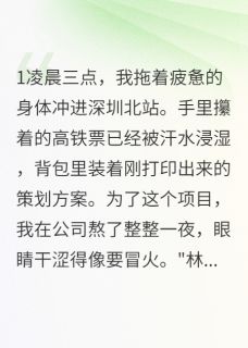 高铁软卧里的较量王慧小李全章节在线阅读-二筒文学网