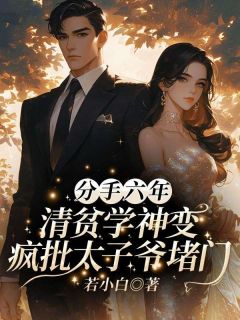 分手六年，清贫学神变疯批太子爷堵门免费阅读全文，主角乔念安傅云祯小说完整版-二筒文学网