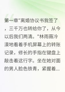 [抖音]小说陈浩林雨薇妻子签离婚协议转走三千万消失了-二筒文学网