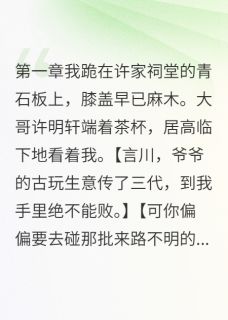 她嫁给我哥那天我破产了在哪免费看，许明轩宋雅茹许言川小说章节目录阅读