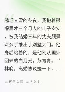 安安沈言顾景琛小说<追妻火葬场，但男主换人了>全文在线阅读