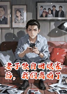 妻子独自回娘家后，我们离婚了林海苏强苏晴by渡岸轻舟免费看