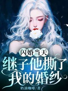 闪婚当天，继子他撕了我的婚纱沈洛宁顾淮景大结局在线阅读-二筒文学网