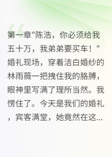 婚礼现场新娘偷我钱给弟弟买奔驰快手热推苏晴林雨薇陈浩免费阅读