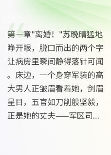 老书虫书荒推荐重生七零，带崽离婚后首长后悔了txt小说阅读