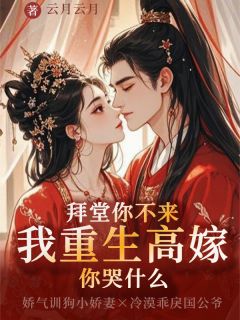 叶明珠盛云彻盛怀安小说哪里可以看 小说高嫁后，那位渣男已被我虐疯全文免费阅读