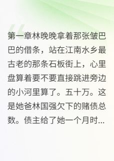 协议五年，他给我一个家小说全集(江湛林晚晚)无弹窗广告阅读