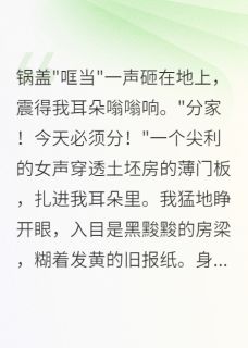 顾铮安国庆王翠芬小说带空间穿八零我靠美食致富全文阅读