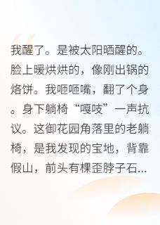 贵妃她只想咸鱼却宠冠六宫小说(完结)-小桃杨梅无删减阅读