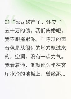 抖音爆款小说创业失败后的夫妻情陈凯张伟免费txt全文阅读