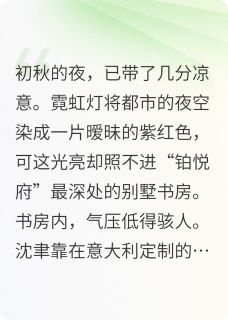 暗夜交锋：首席总裁的卧底妻小说最新章节-主角苏晚沈聿全文免费阅读