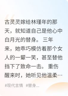新书推荐和替身离婚后，他后悔了完整版小说-林瑾年古灵灵最新章节阅读