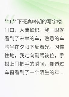 下班高峰期的写字楼门口精彩小说-下班高峰期的写字楼门口目录阅读-二筒文学网