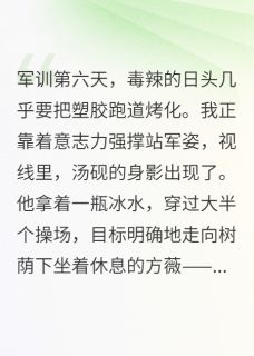 快手汤砚方薇林溪主角的小说全本章节大结局-二筒文学网