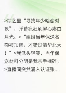 (抖音小说)桑宁陆斐顾嫣小说全文阅读免费-二筒文学网