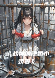 战神的隐婚小娇妻陆沉苏晚无广告在线阅读