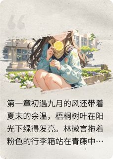 我们那些年的青春快手热推林微言江译免费阅读