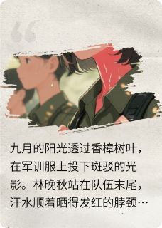 主角林晚秋江熠小说完整版-断了线的风筝--尘星终散时免费阅读全文-二筒文学网