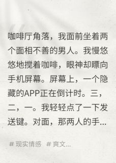 当温柔被耗尽，只剩下无尽深渊林晚张伟免费全章节目录阅读-二筒文学网