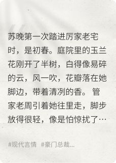 雾里看花，心上雪全文目录-苏晚厉承爵沈念小说无弹窗阅读