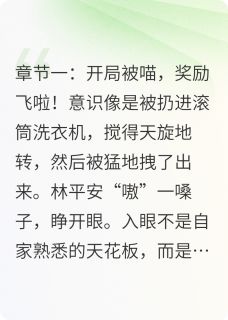 开局被喵，奖励飞啦章节目录小说-林平安王妖妖免费阅读全文-二筒文学网