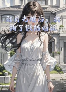 无广告小说白月光醒后，我撕了假结婚证-顾宴舟谢泽远林晚晚在线阅读-二筒文学网