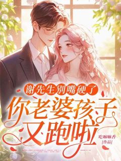 谢先生别嘴硬了，你老婆孩子又跑啦小说洛锦书谢时宴最新章节阅读