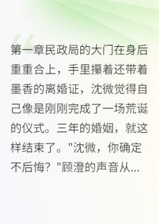 离婚当夜，前夫抓我现行小说沈微顾澄免费阅读-二筒文学网