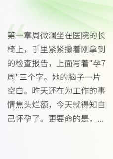 意外怀孕后我成了团宠免费小说作者巷口张婶全文阅读-二筒文学网