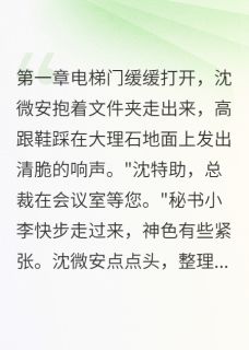 小说隐婚三年，反派老公宠上天主角为沈微安顾霆琛林婉儿免费阅读-二筒文学网