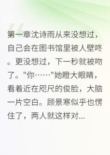 小说那一吻，偷走了我的心主角为沈诗雨顾景寒免费阅读-二筒文学网