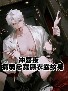 苏晚傅沉舟小说结局-二筒文学网