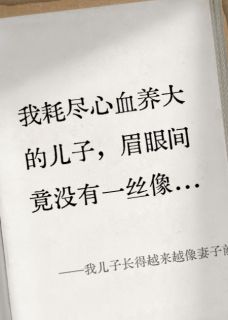 苏晴张哲晓宇结局是什么 苏晴张哲晓宇免费阅读全文